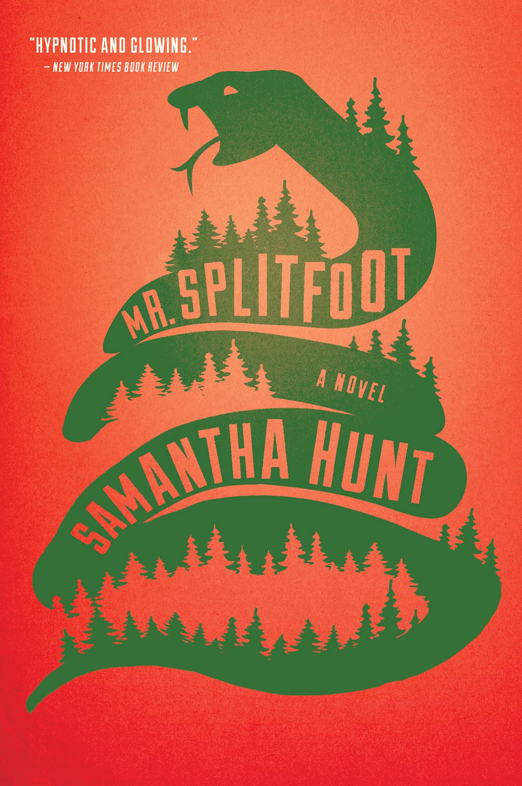 Mr. Splitfoot: A Literary Ghost Story of Spiritualism, Motherhood, and Haunting Family Secrets