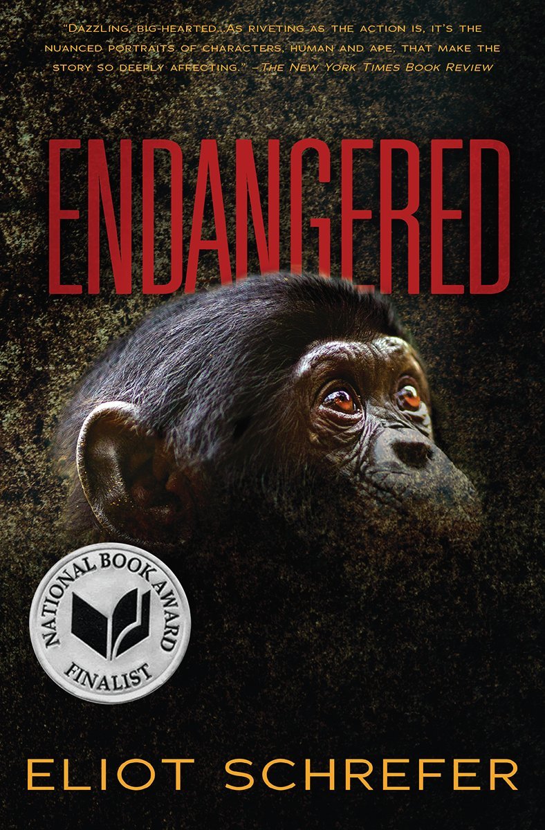 Endangered (Ape Quartet) - 2066