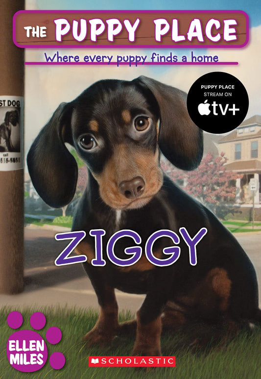 Ziggy (The Puppy Place #21) - 3977
