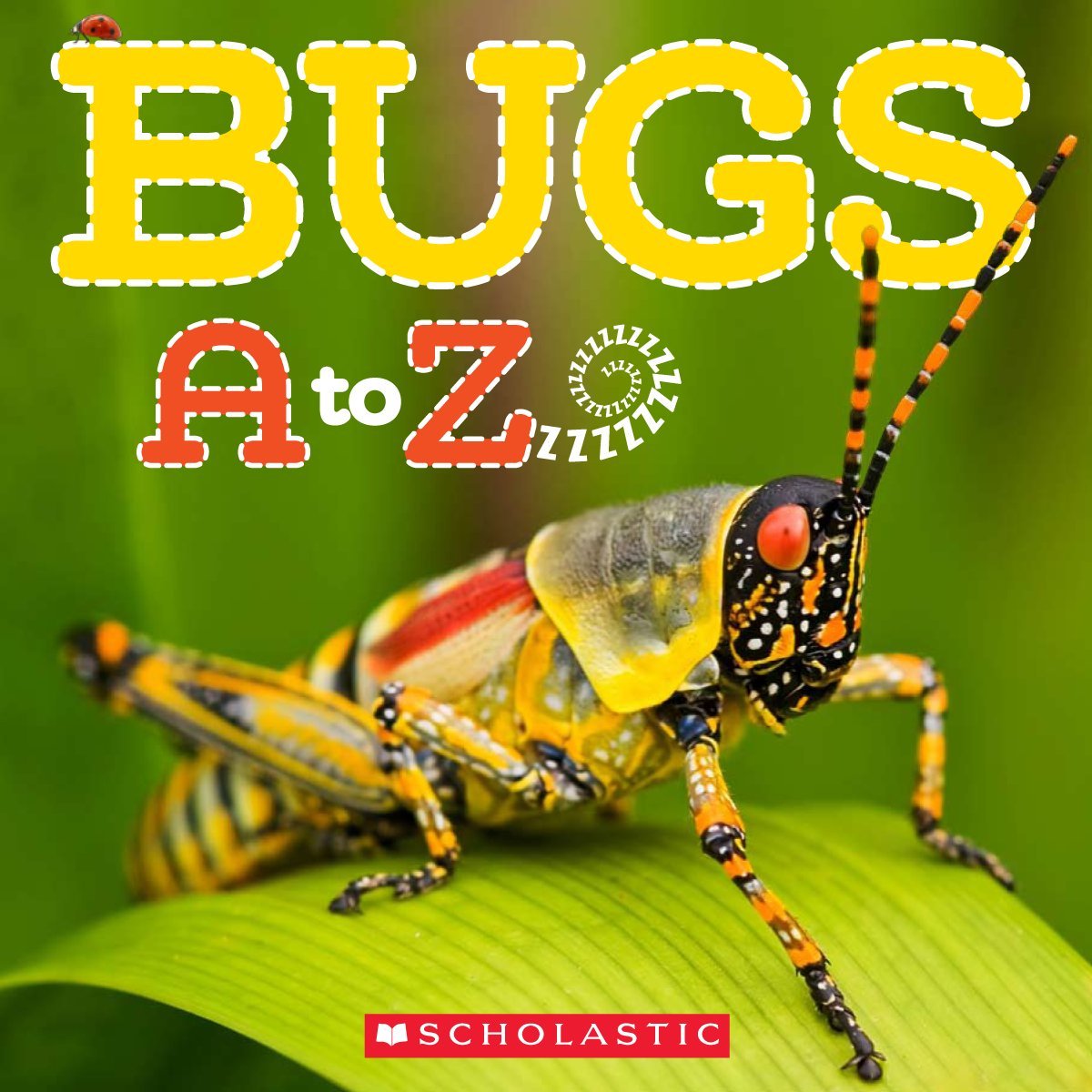 Bugs A to Z - 6344