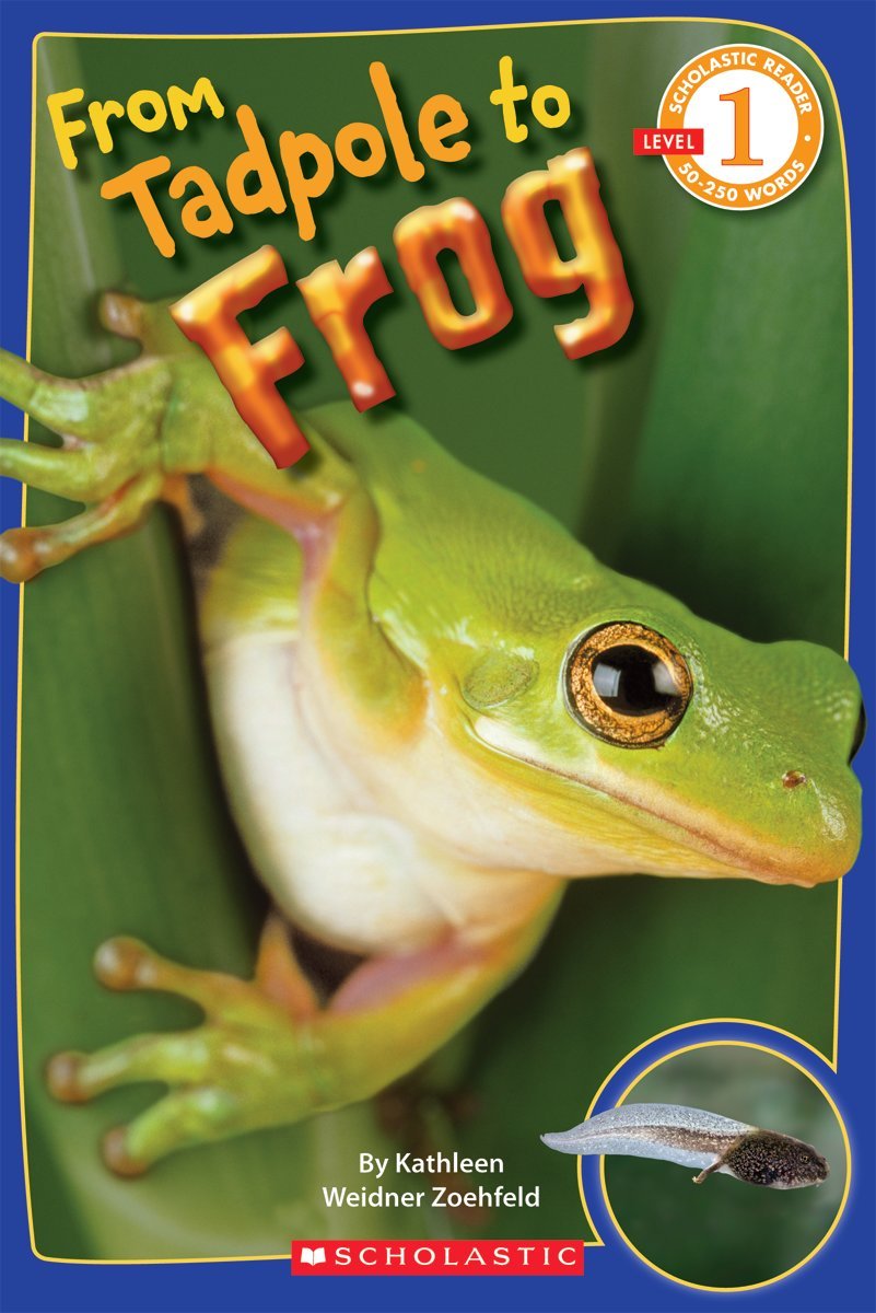 From Tadpole to Frog (Scholastic Reader, Level 1) - 6058