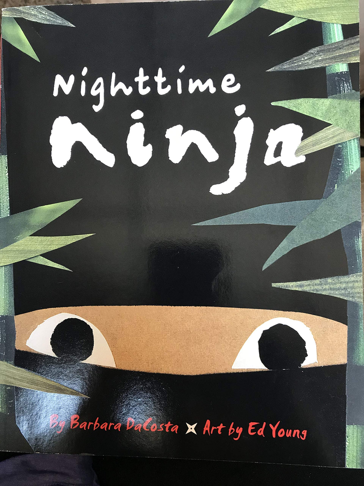 Nighttime Ninja