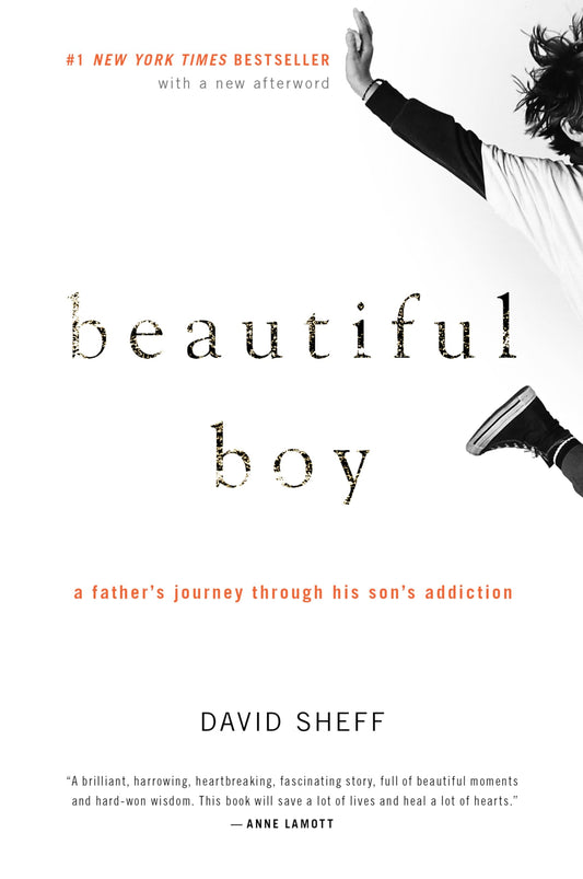 Beautiful Boy: A Father's Journey Through His Son's Addiction - 9605