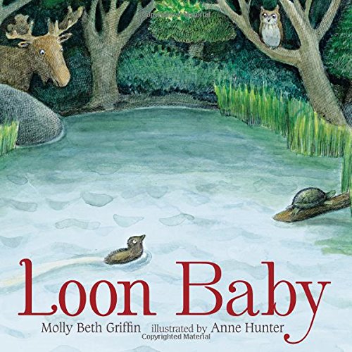 Loon Baby