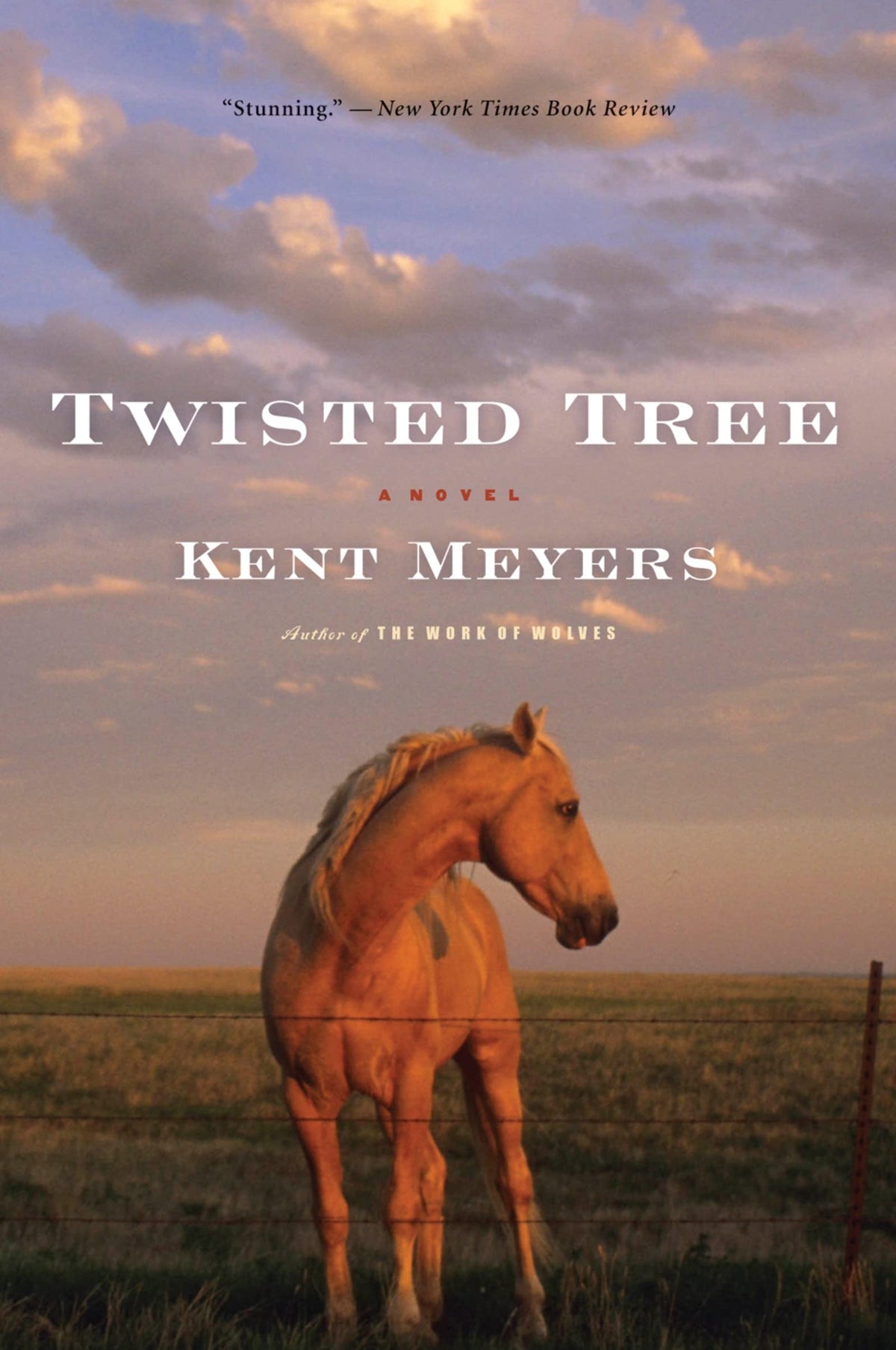Twisted Tree: A Dark Literary Novel of Small-Town Connections, Tragedy, and Heartbreak