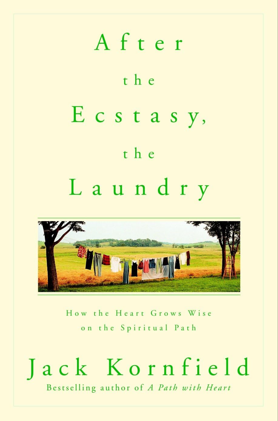 AFTER THE ECSTASY, THE LAUNDRY: