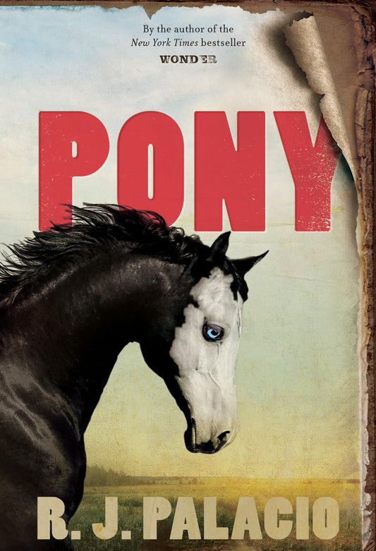 Pony - 9717