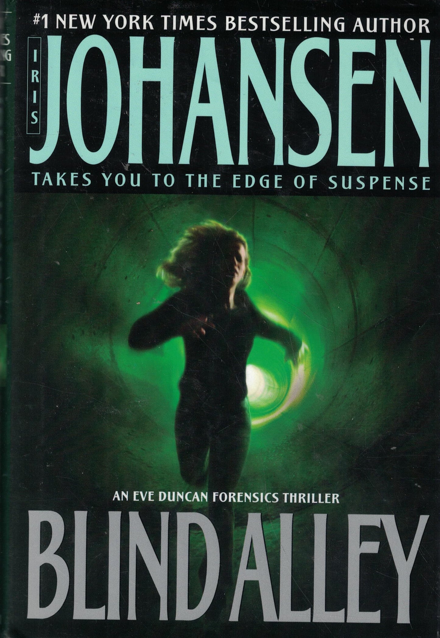 Blind Alley (Eve Duncan)