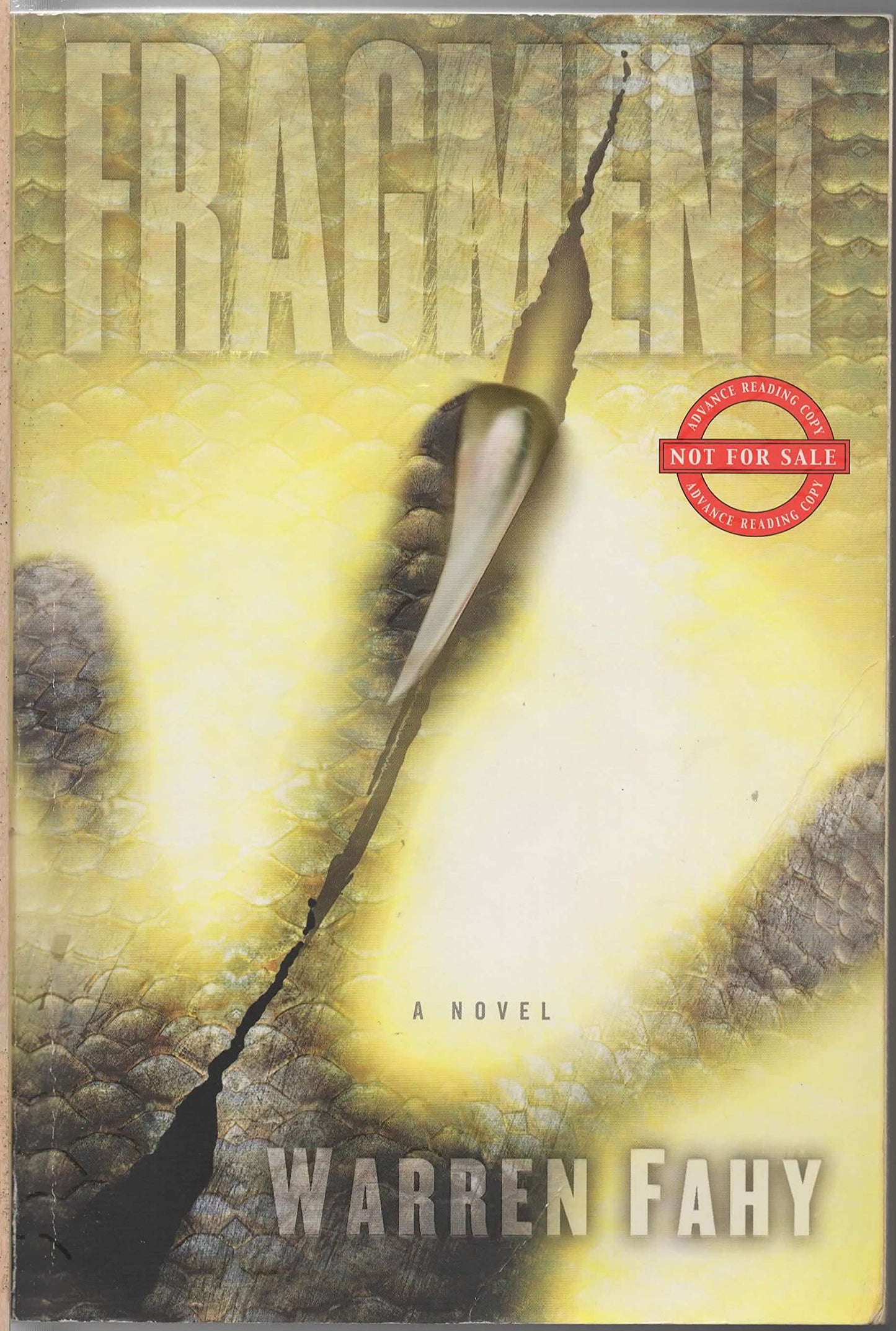 Fragment: A Novel