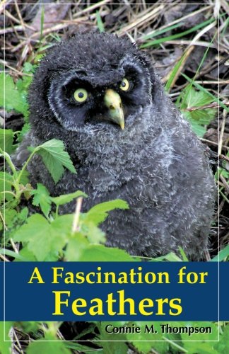 A Fascination for Feathers