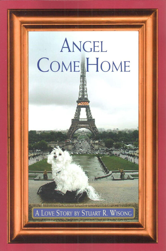 Angel Come Home: A Love Story