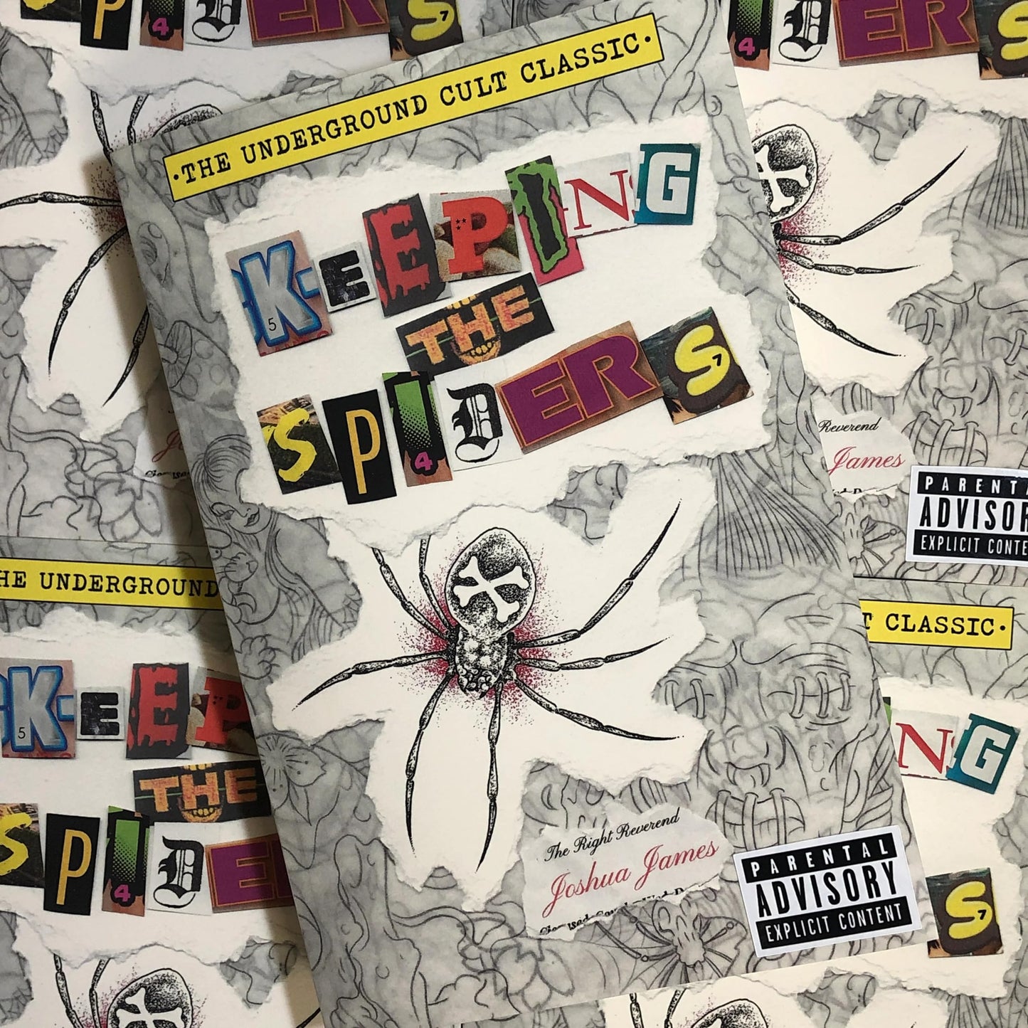 Joshua James - Keeping the Spiders