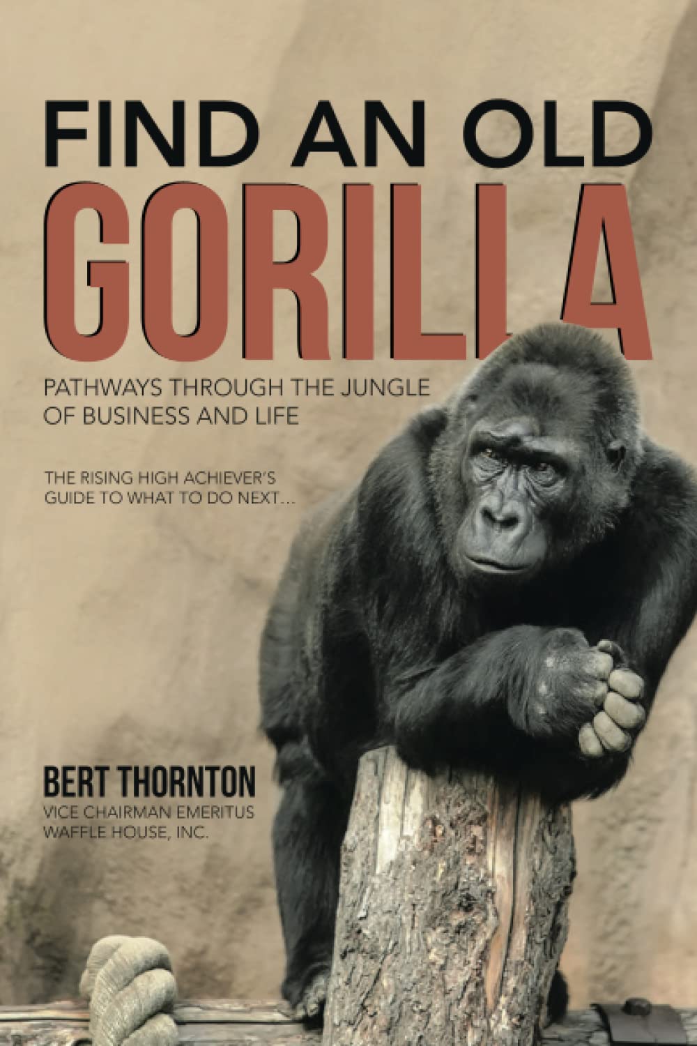 Find an Old Gorilla: Pathways Through the Jungle of Business and Life