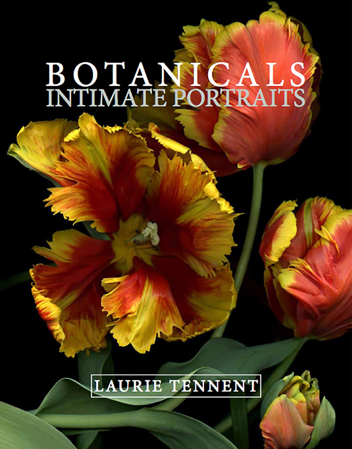 Botanicals: Intimate Portrait