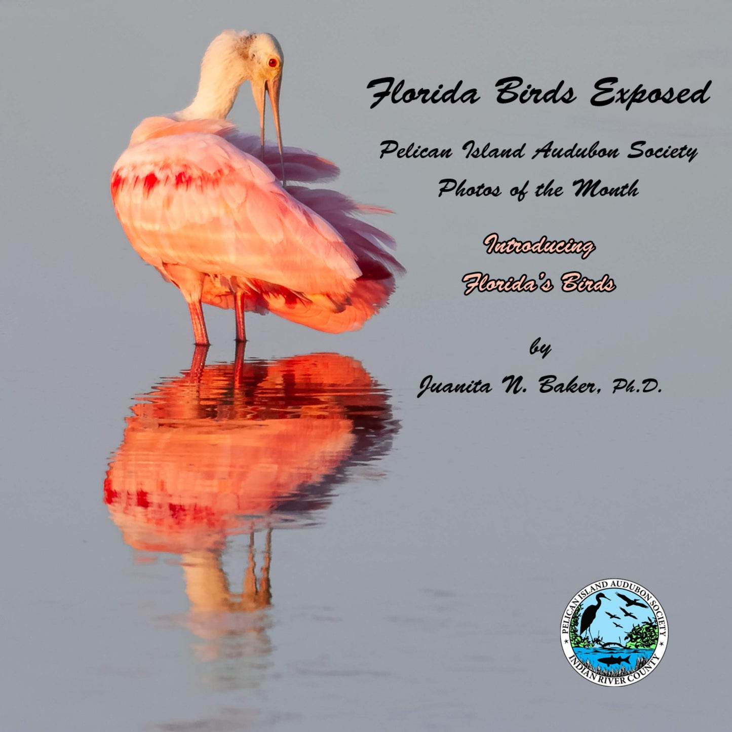 Florida Birds Exposed: Pelican Island Audubon Society Photos of the Month 2009-2019, Introducing Florida's Birds
