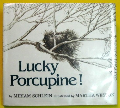 Lucky Porcupine!