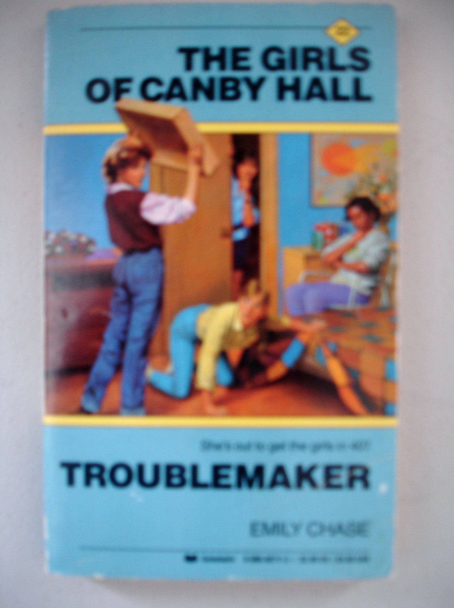 Troublemaker
