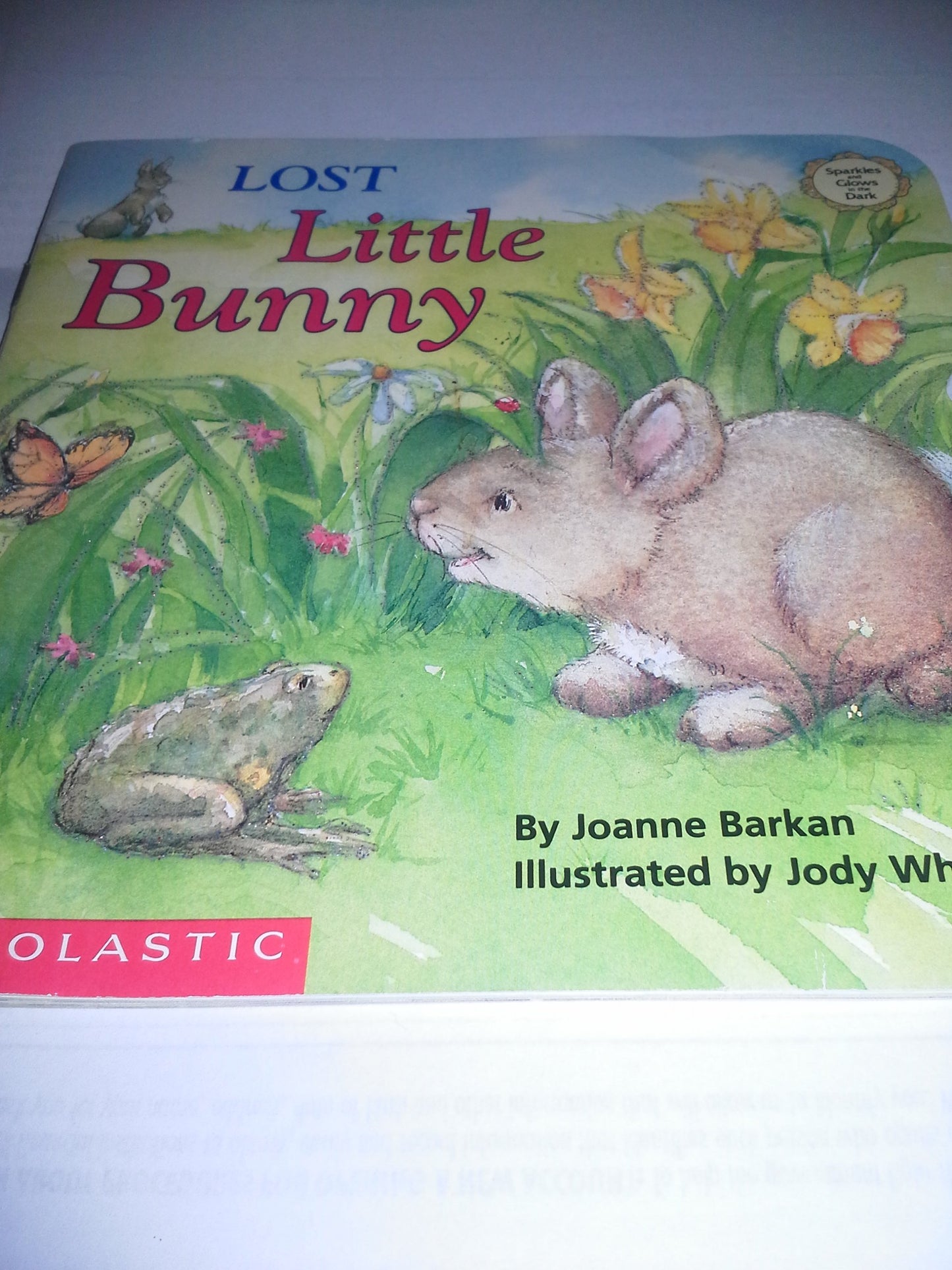 Lost Little Bunny (Sparkle-And-Glow Books)