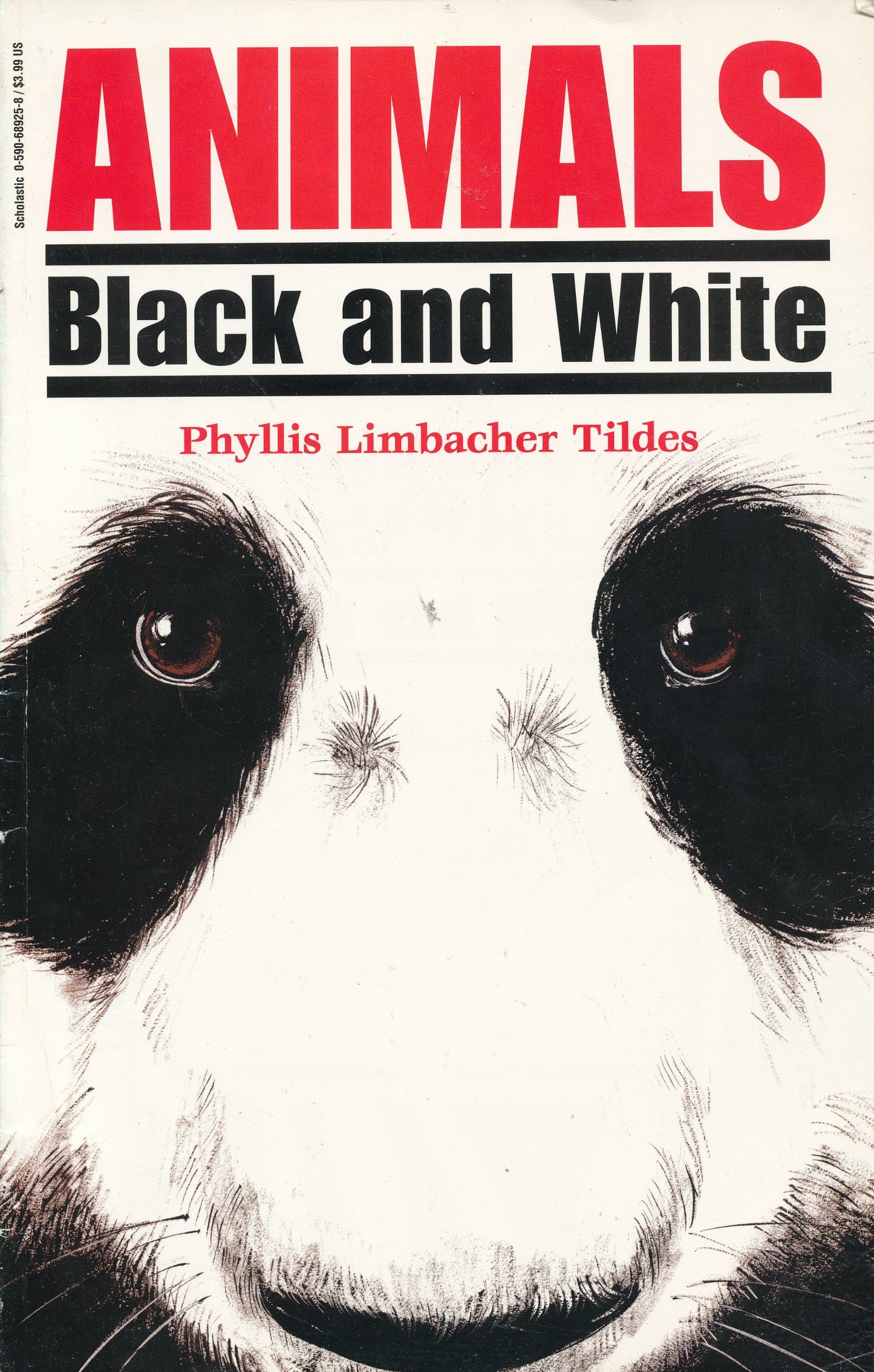 Animals: Black and White