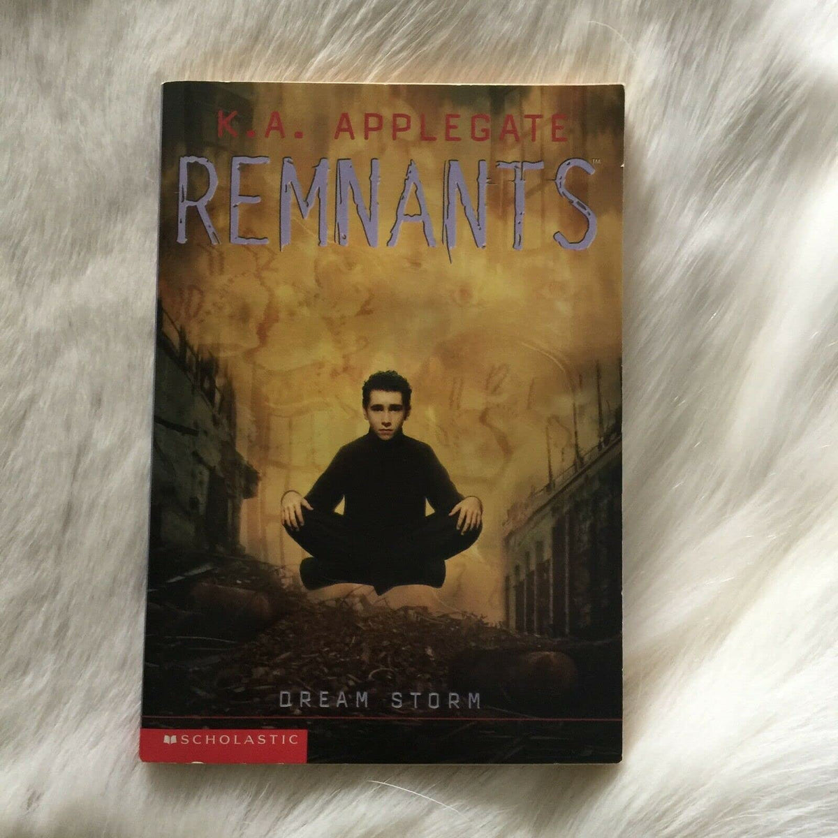 Dream Storm (Remnants, Book 11)