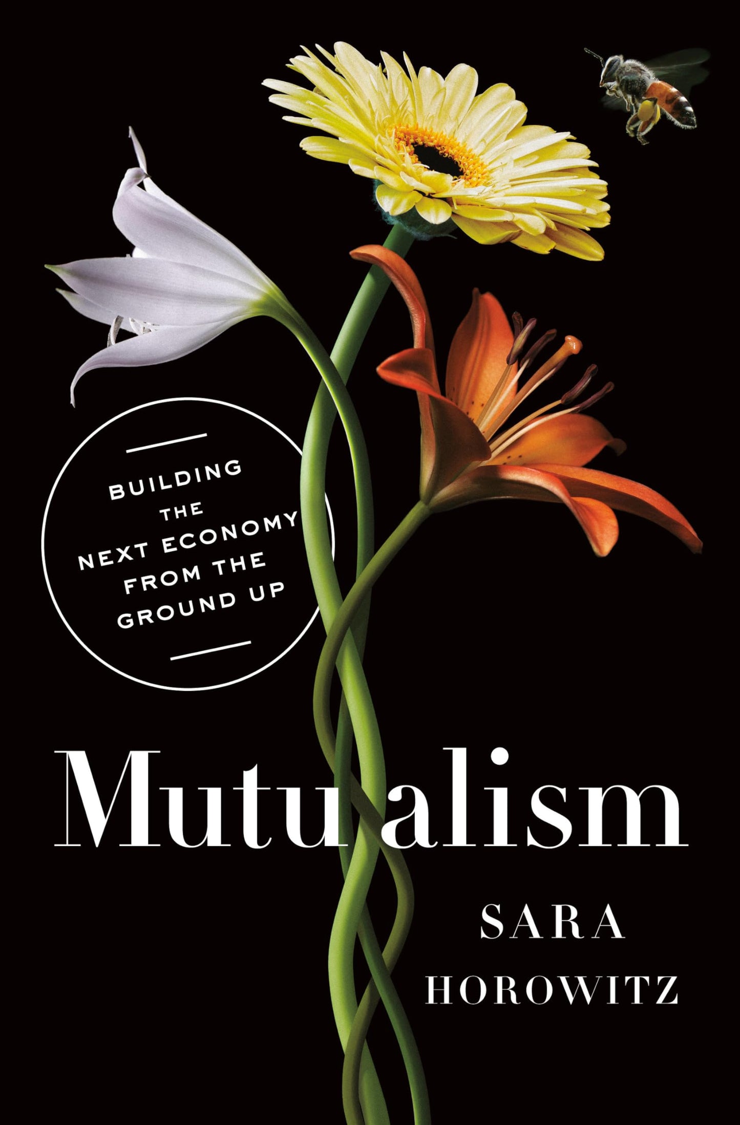 Mutualism: Building the Next Economy from the Ground Up - 6306