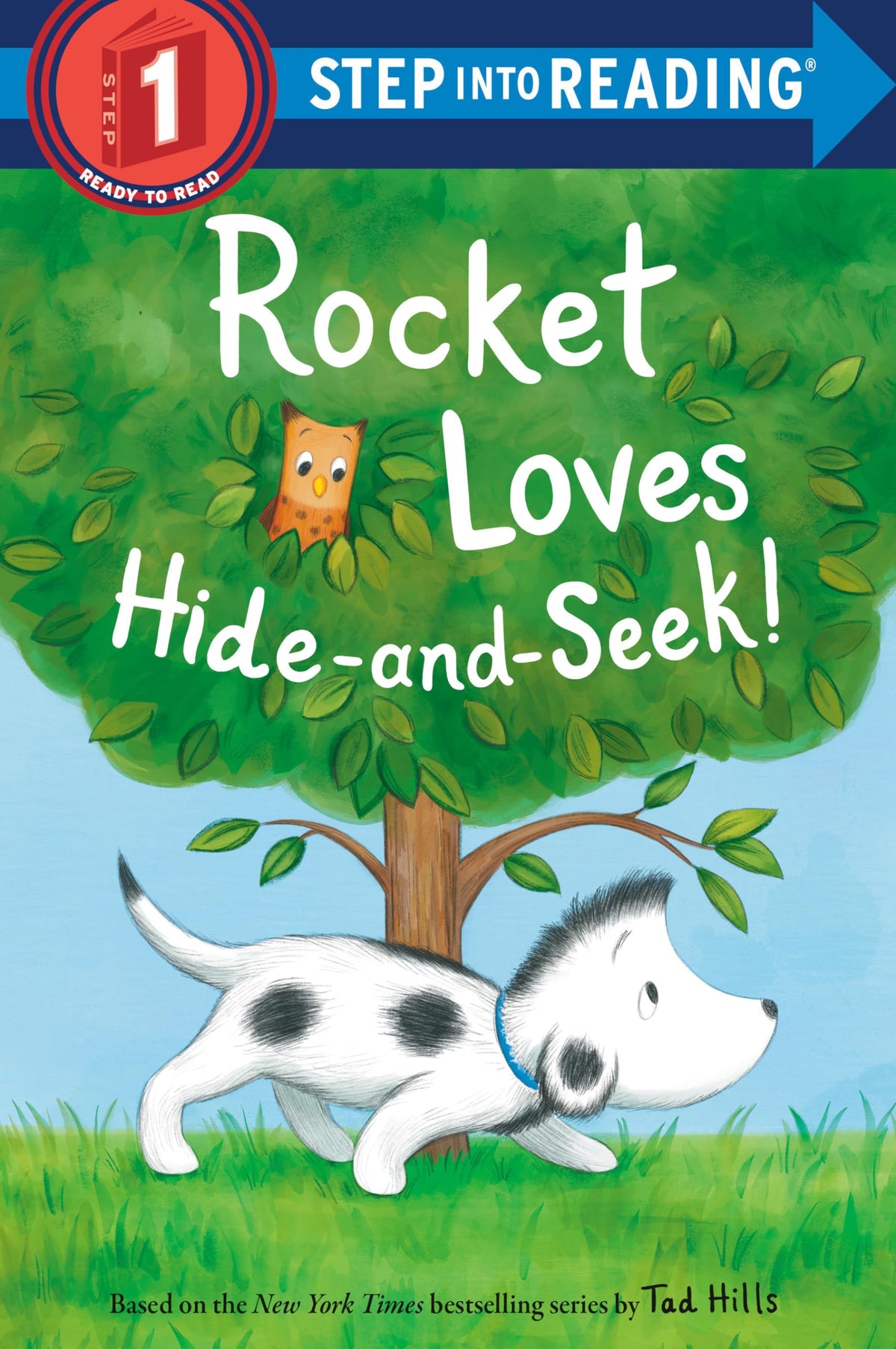 Rocket Loves Hide-and-Seek! (Step into Reading, Step 1)