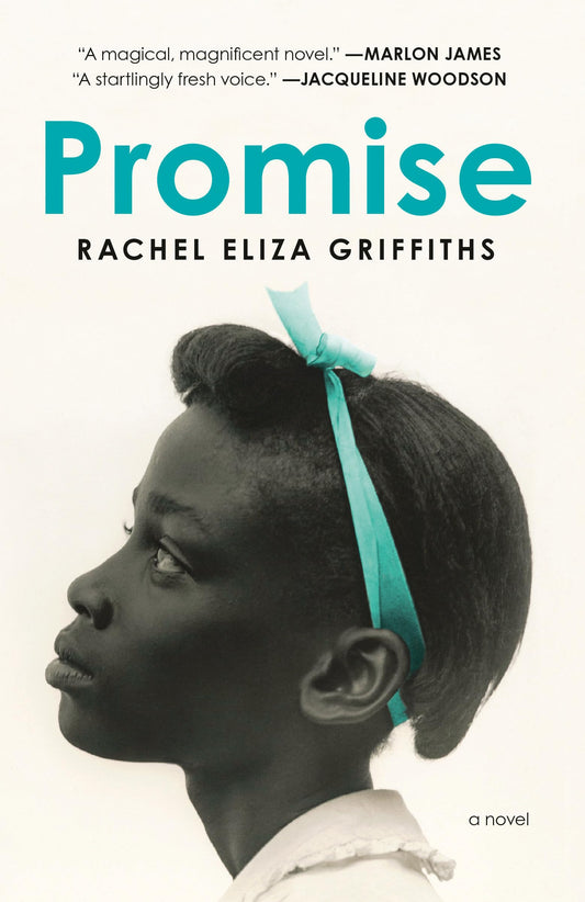 Promise: A Novel - 4750