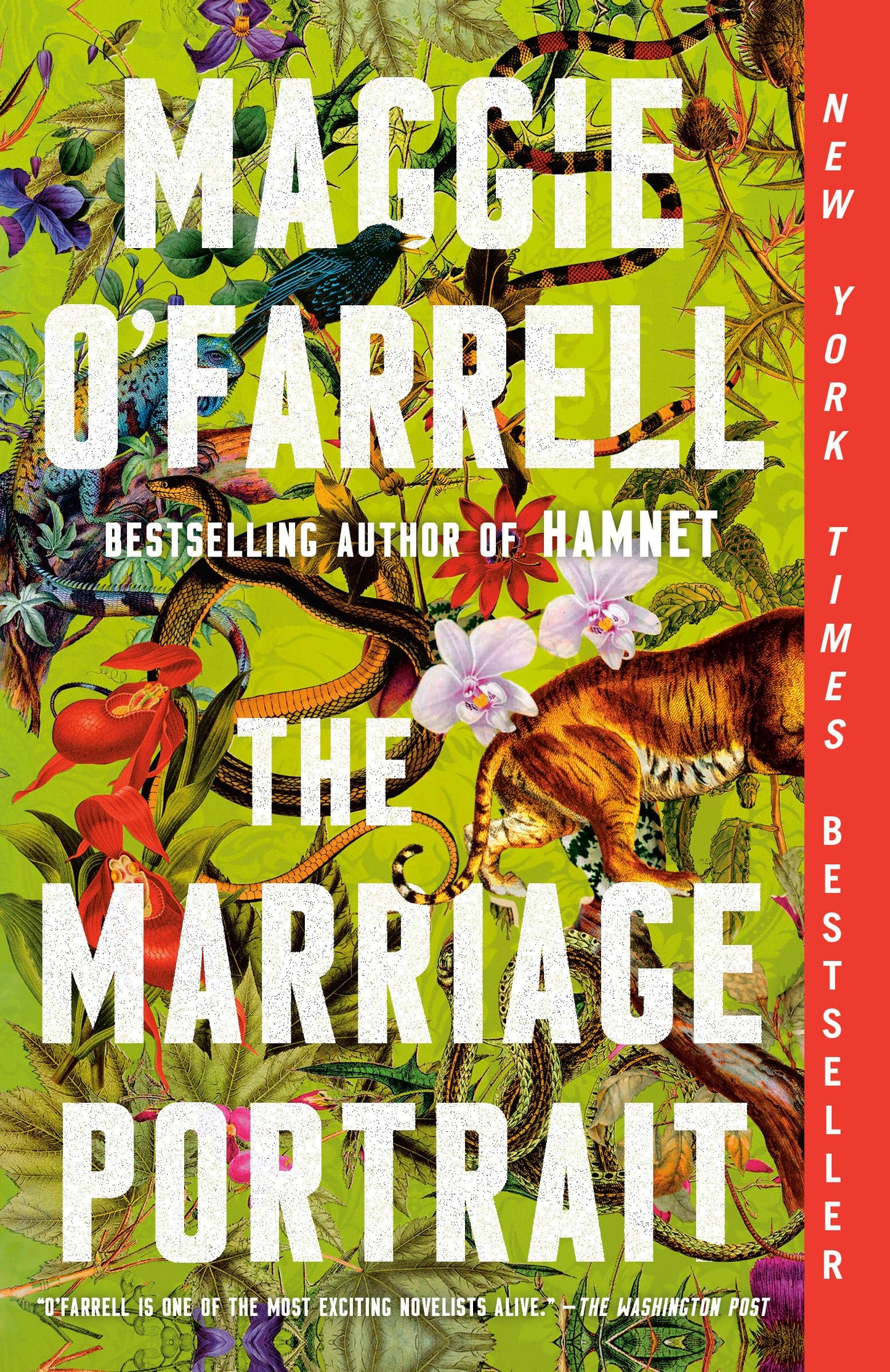 The Marriage Portrait: Reese's Book Club: A novel - 6333