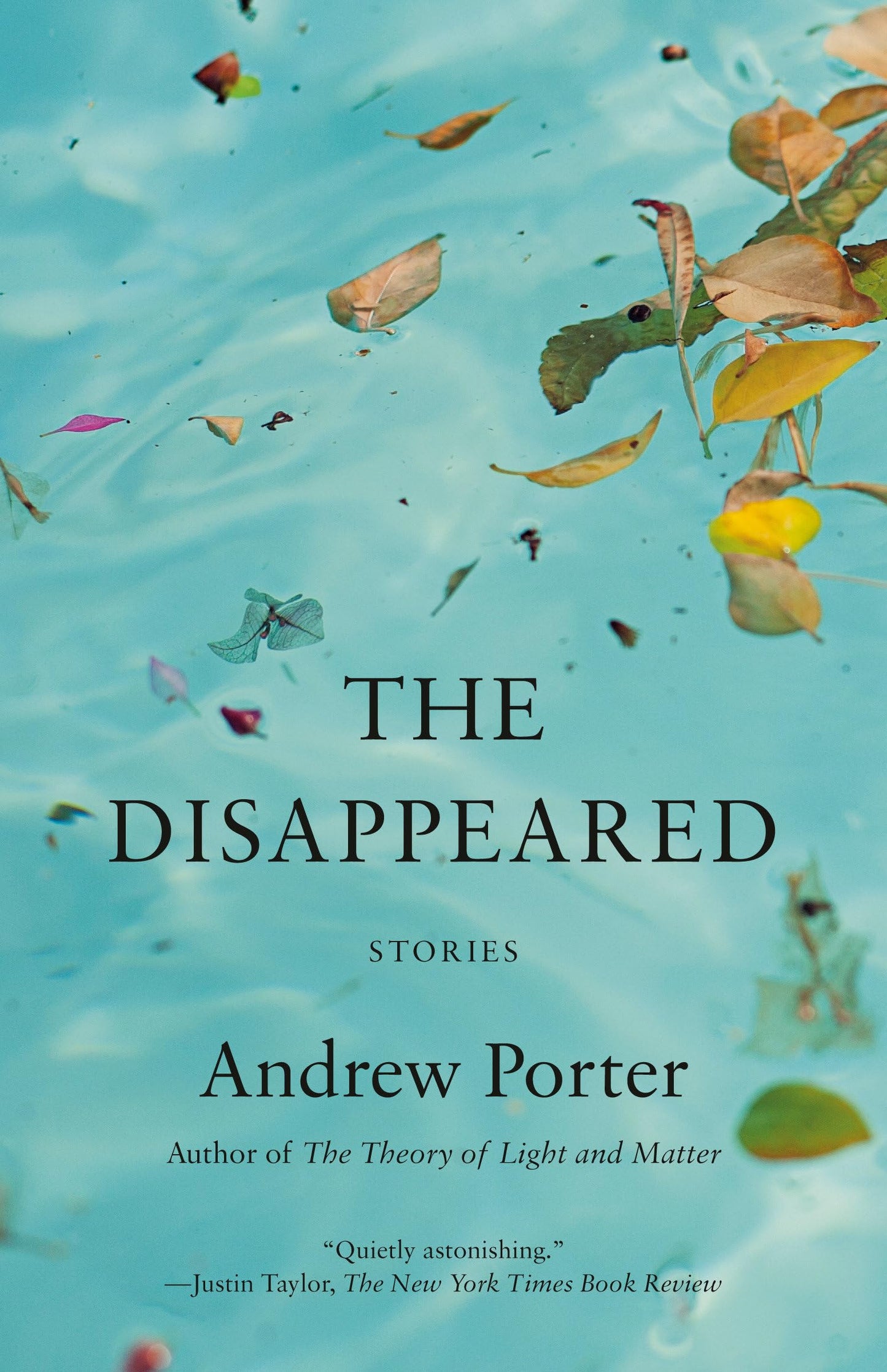 The Disappeared: Stories