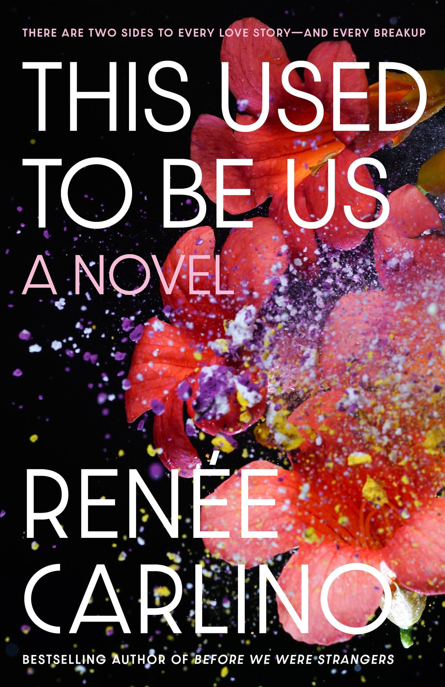 This Used to Be Us: A Novel - 8663