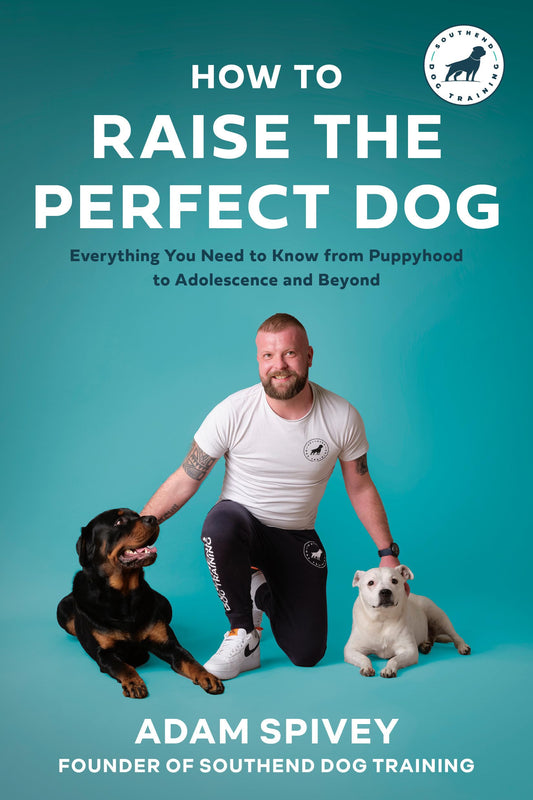 How to Raise the Perfect Dog: Everything You Need to Know from Puppyhood to Adolescence and Beyond A Puppy Training and Dog Training Book - 9672