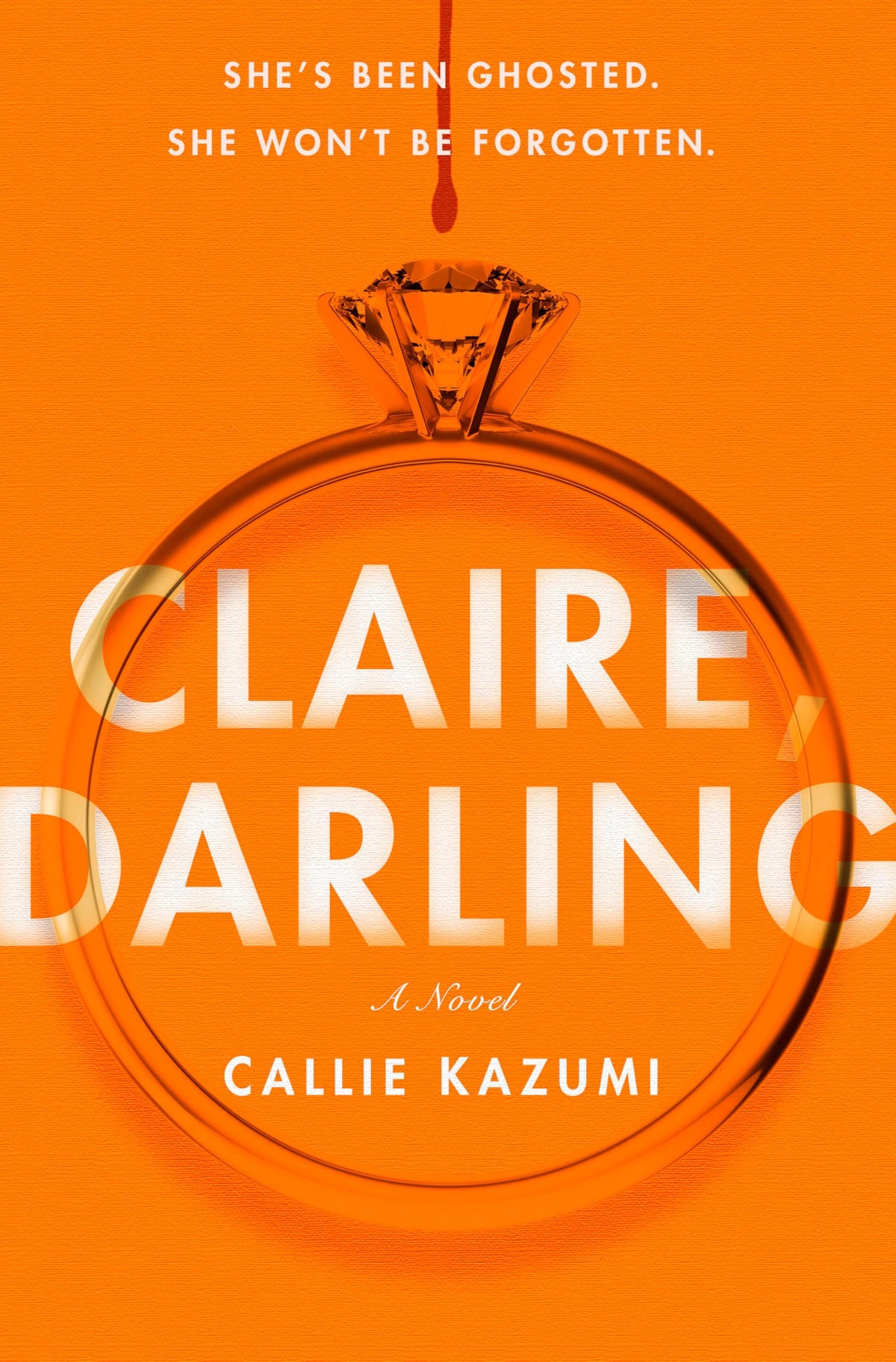 Claire, Darling: A Novel