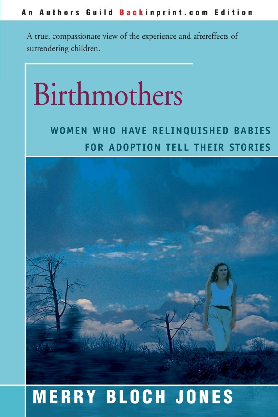 Birthmothers: Women Who Have Relinquished Babies for Adoption Tell Their Stories