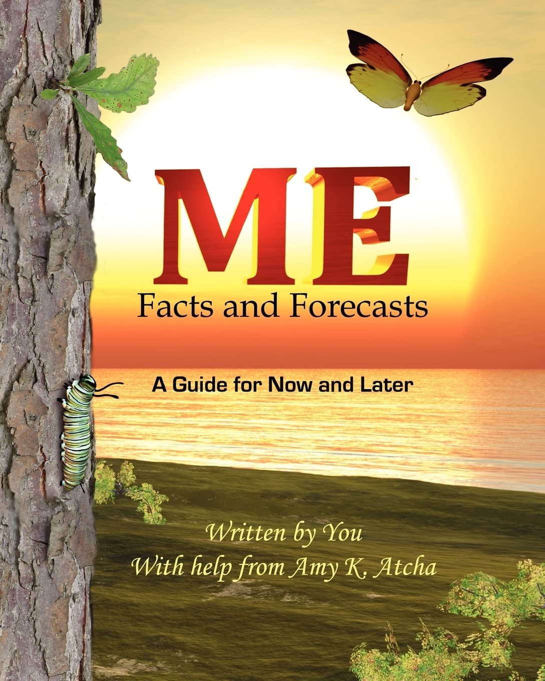 ME: Facts and Forecasts: A Guide for Now and Later