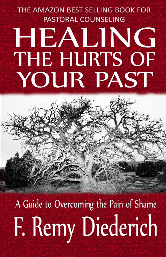 Healing the Hurts of Your Past: A Guide to Overcoming the Pain of Shame - 9865