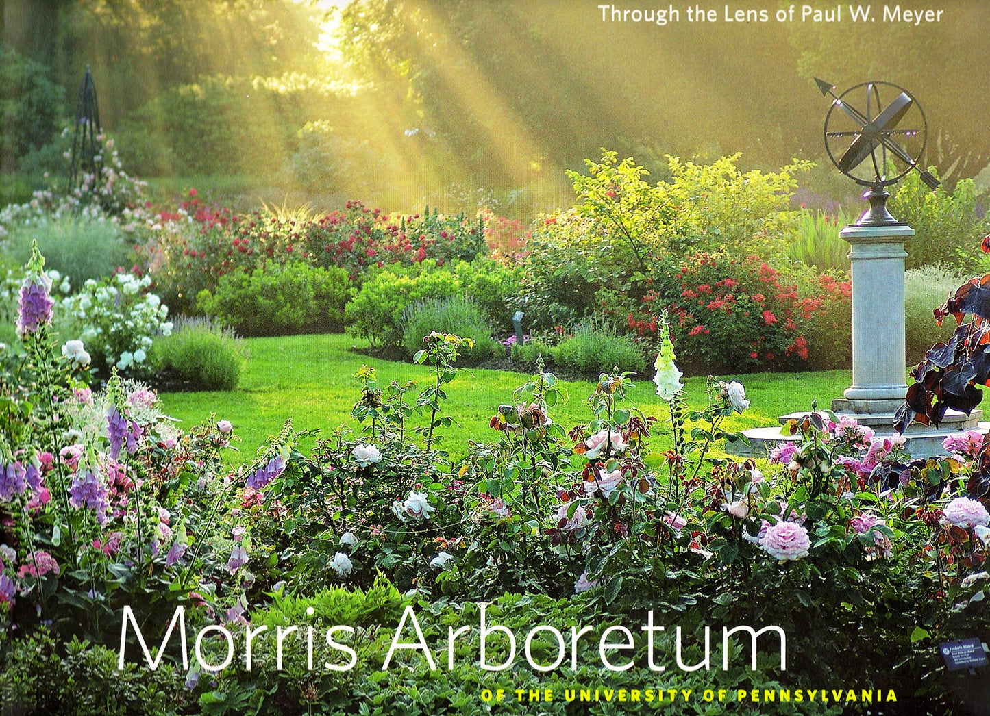 Morris Arboretum, of the University of Pennsylvania, Through the Lens of Paul W. Meyer - 1908