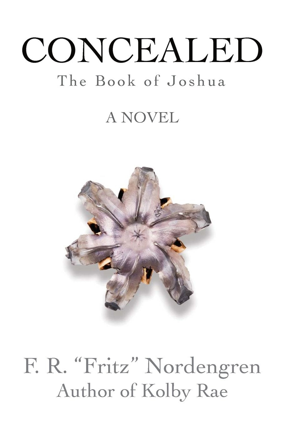 Concealed: The Book of Joshua