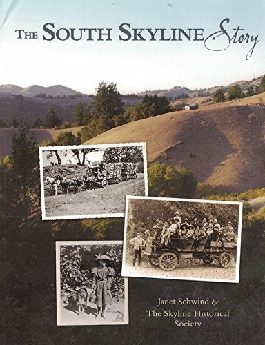 The South Skyline Story