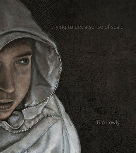 Trying to Get a Sense of Scale - Tim Lowly