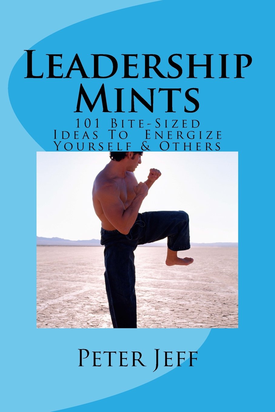 Leadership Mints: 101 Bite-Sized Ideas to Energize Yourself & Others