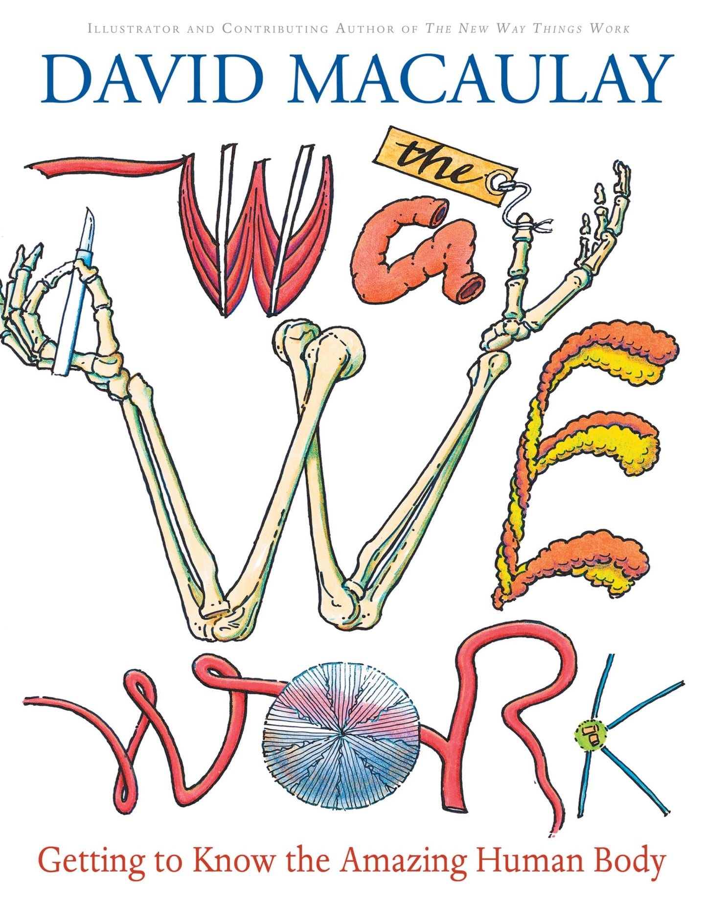 The Way We Work: Getting to Know the Amazing Human Body