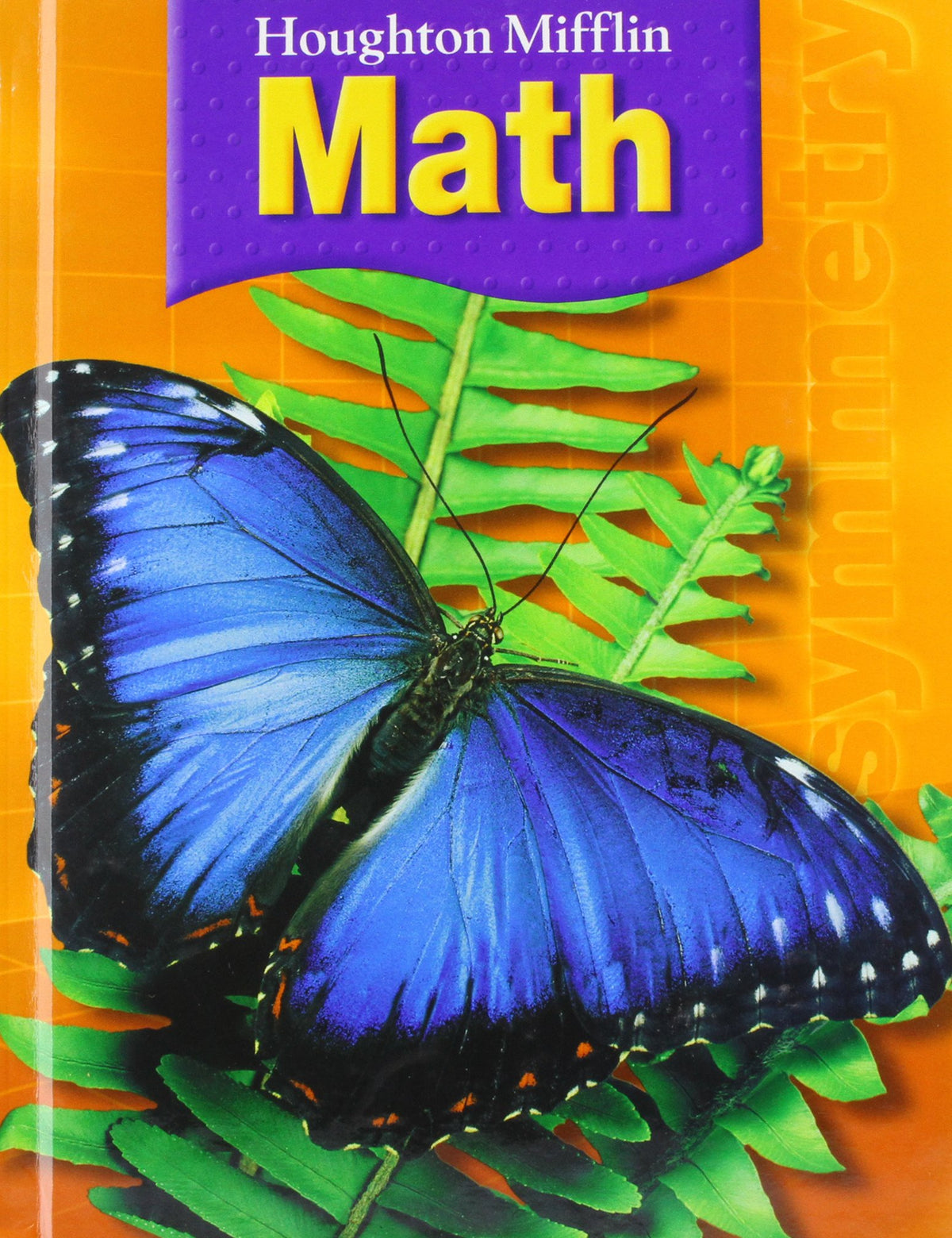 Houghton Mifflin Math