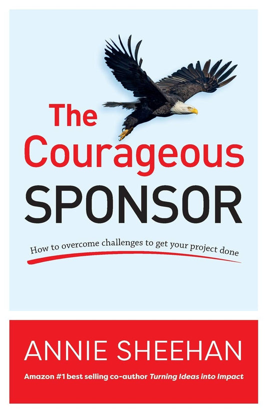 The Courageous Sponsor: How to overcome challenges to get your project done