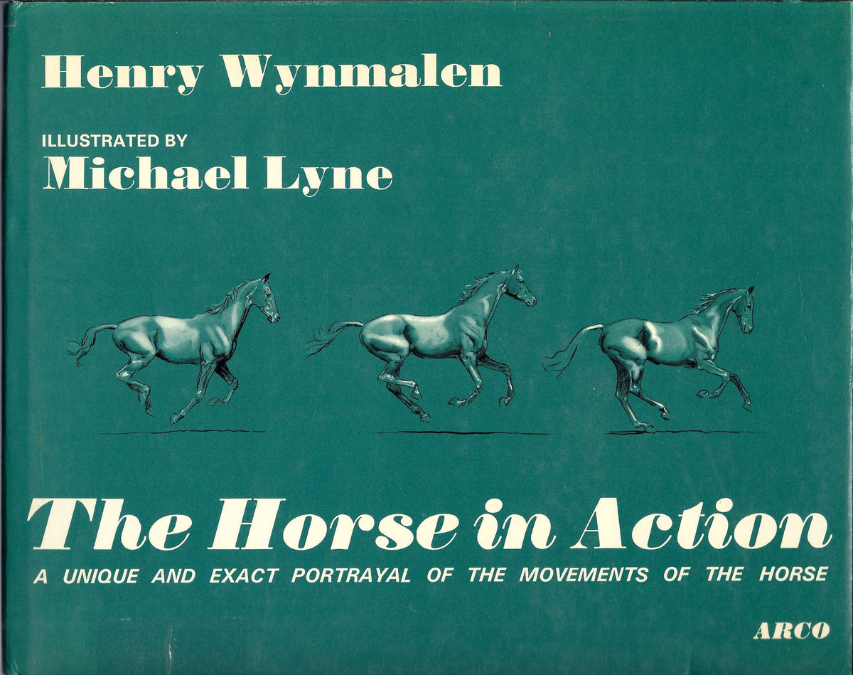 Horse in Action