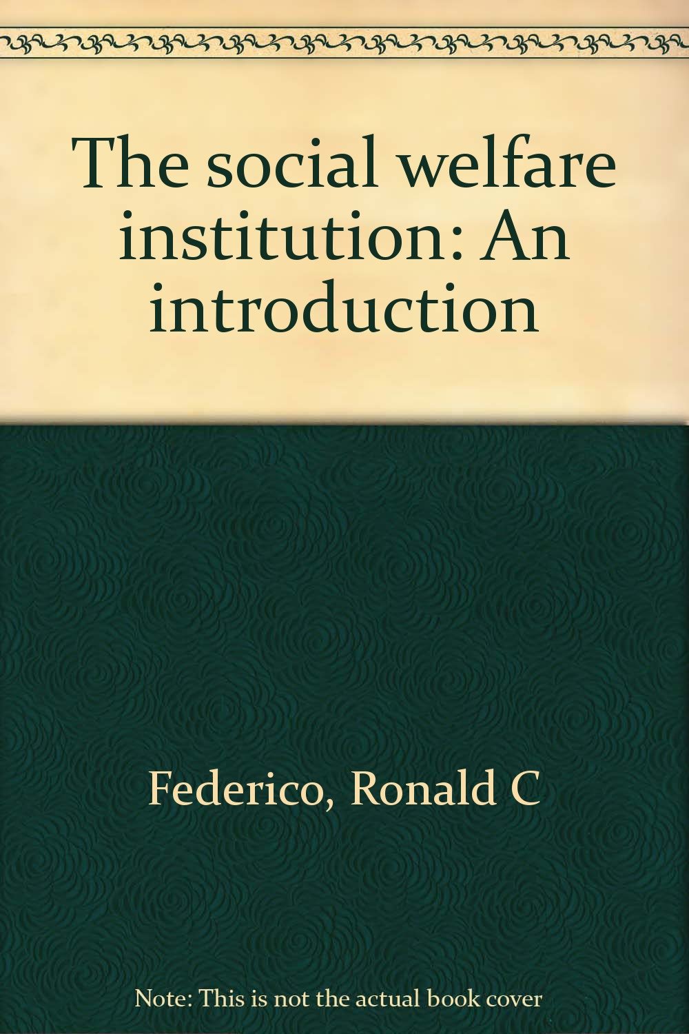 The social welfare institution: An introduction