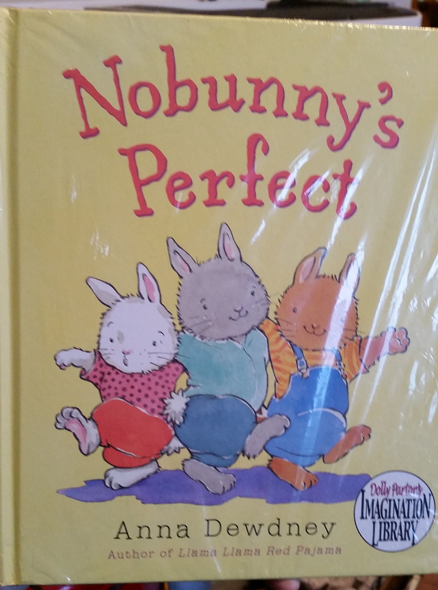 Nobunny's Perfect