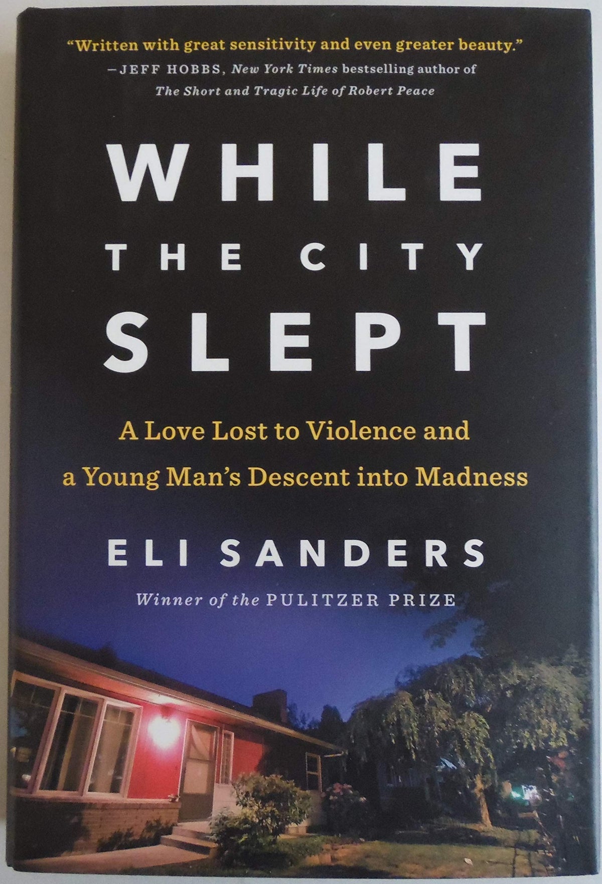 While the City Slept: A Love Lost to Violence and a Young Man's Descent into Madness