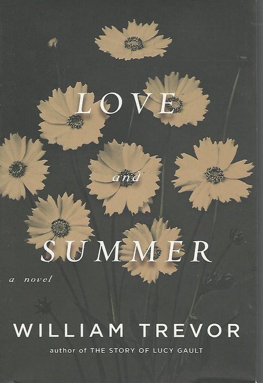 Love and Summer: A Novel