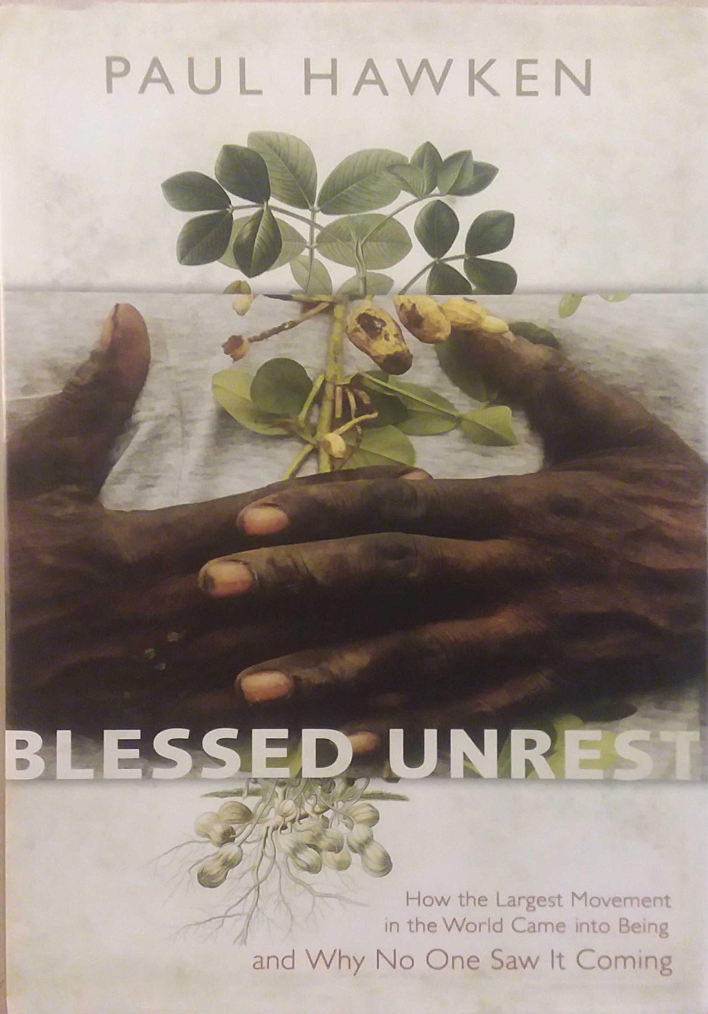 Blessed Unrest: How the Largest Movement in the World Came into Being and Why No One Saw It Coming