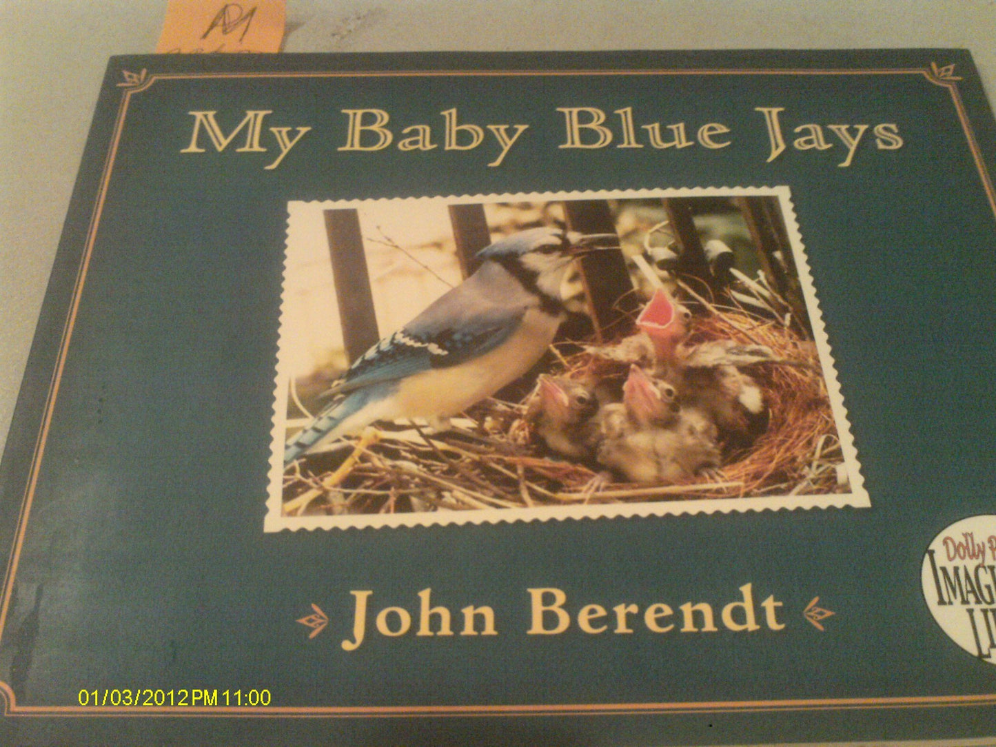 My Baby Blue Jays (Dolly Parton's Imagination Library) - 7627